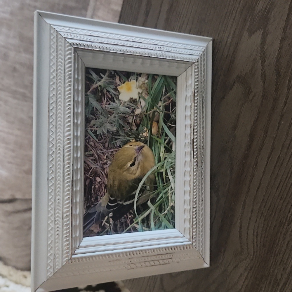 Broyhill Picture frame